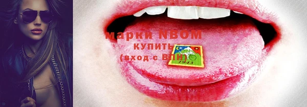 индика Абаза