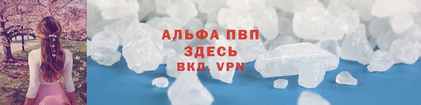 индика Абаза
