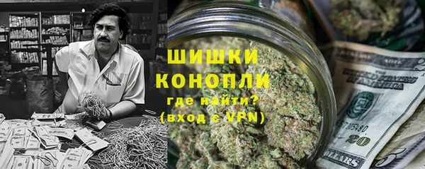 индика Абаза