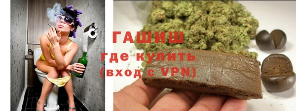 индика Абаза