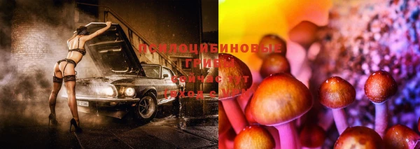 дмт Абдулино